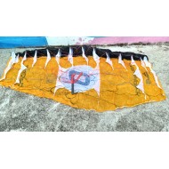 OZONE Power Pack 3.6 occasion