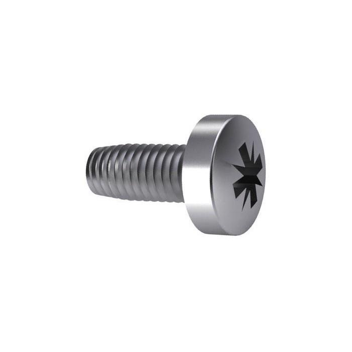 Clinique vis d'aileron Inox cruciforme 6mm
