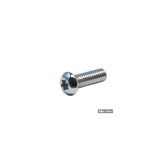 Clinique vis d'aileron Inox Torx M6 mm