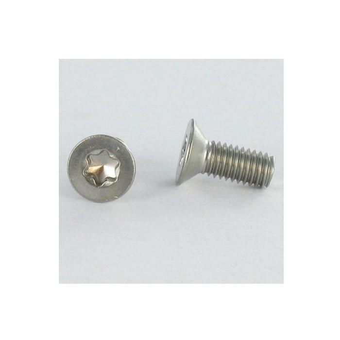 Vis inox &agrave; t&ecirc;te cylindrique large &agrave; empreinte Torx T30 M6 mm
