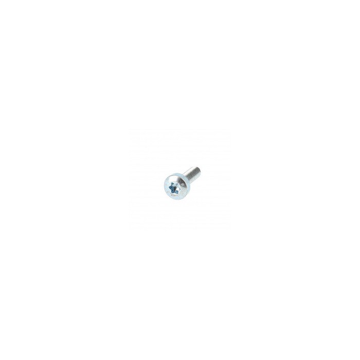 Vis inox &agrave; t&ecirc;te cylindrique bomb&eacute;e large &agrave; empreinte TORX T30 M6 mm