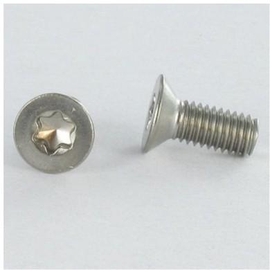 Vis inox &agrave; t&ecirc;te cylindrique large &agrave; empreinte Torx 8mm M8