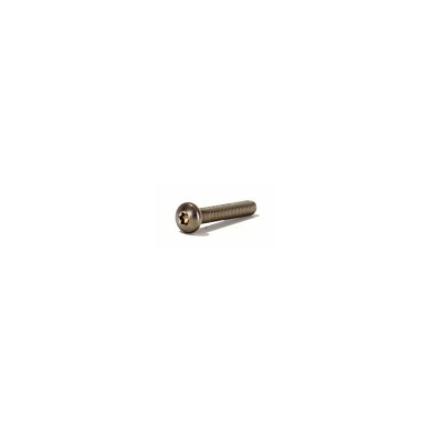 Clinique Vis Inox M8 T&Ecirc;TE CYLINDRIQUE BOMB&Eacute;E Torx T45