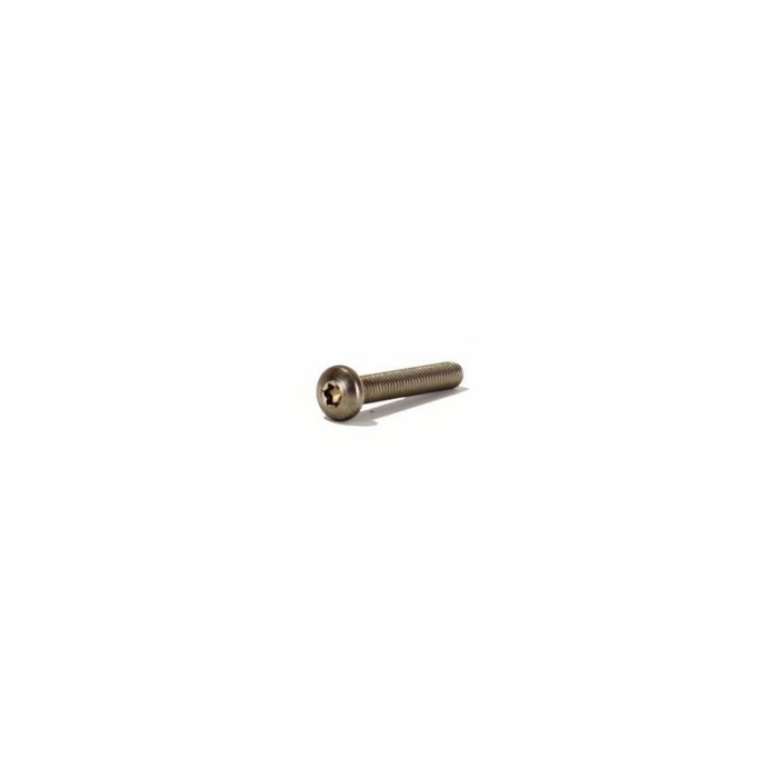 Clinique Vis Inox M8 T&Ecirc;TE CYLINDRIQUE BOMB&Eacute;E Torx T45
