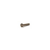 Clinique Vis Inox M8 T&Ecirc;TE CYLINDRIQUE BOMB&Eacute;E Torx T45