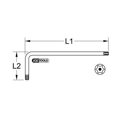 Cl&eacute; m&acirc;le courte TORX T30