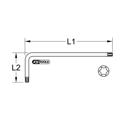 Cl&eacute; m&acirc;le TORX Longue